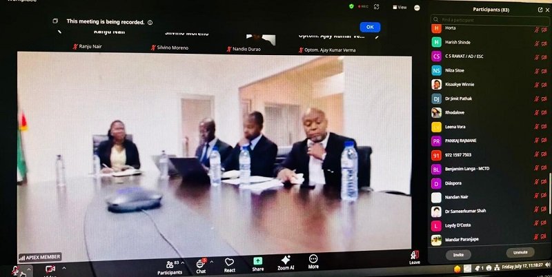 Webinar on business and investment opportunities in Mozambique (17 July 2026)