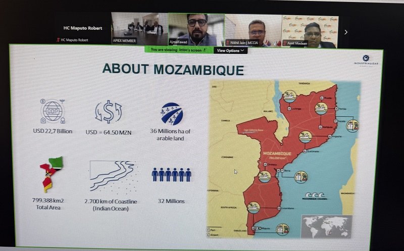 Webinar on business and investment opportunities in Mozambique (17 July 2026)