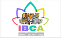 IBCA IBCA